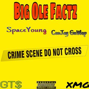Big Ole Factz (feat. CeeJayGuWop)