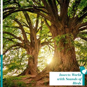 Dreamy Sounds of Rushing Water