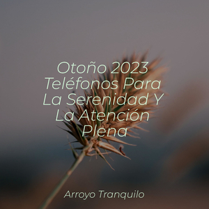 Cautivación Esencial