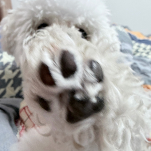 当我偷偷喜欢你_威尔第9186.wav