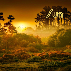 Delightful Politicians