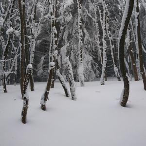 Froggy-你说汕尾下雪了，我信了（Angry Cat remix）