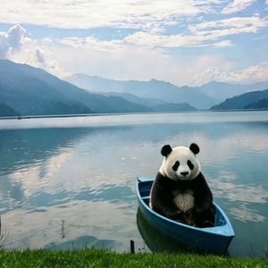 尼泊尔佛山|नेपालको बुद्ध हिमाल