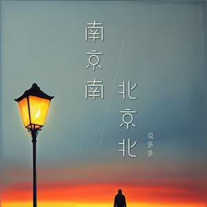 南京南 北京北