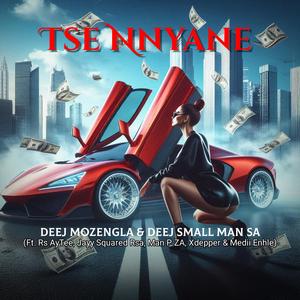 Tse Nnyane (feat. Man P ZA, Xdepper, Medi Entle, Rs AyTee & Jayy Squared Rsa)