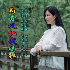 为爱又把我喝醉