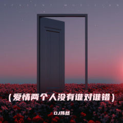爱情两个人没有谁对谁错 (DJ新版)