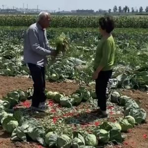 临时朋友(Prod by Jonah Bru)