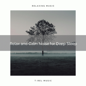 Let There be the Tunes of Calm White Noise and Nature Rule Forever