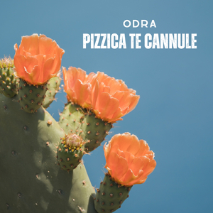 Pizzica te cannule