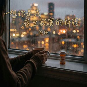 想你是我夜里寂寞的解药