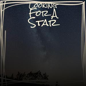 Dreamland Last Night