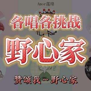 野心家（不认命算一种野心吗？）