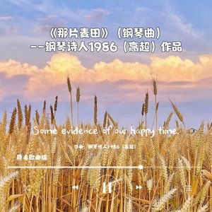 那片麦田（钢琴曲）