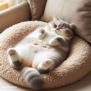 I'm Gon' Put Her in a Coma