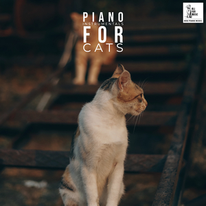 Pet Music (Piano Mix)