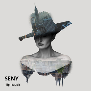 Seny