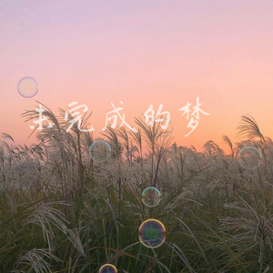 未完成的梦