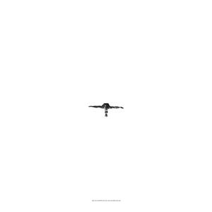 Free Fall