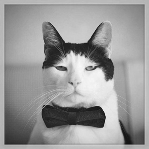 男孩Demo（Cover 梁博）