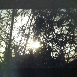 Nadir Emergence part 1