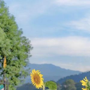 城市地下防水的方式 (2)