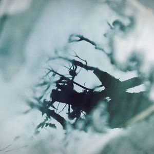 应看千秋（Cover:柯暮卿）