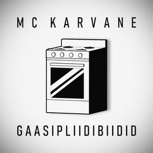 GAASIPLIIDIBIIDID