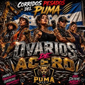 Ovarios De Acero