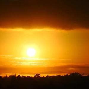 L'amour peut s'envoler