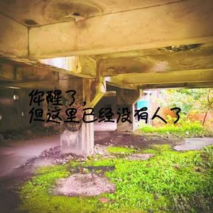 你醒了但这里已经没有人了