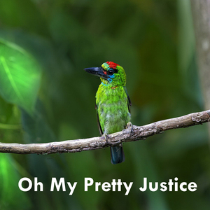 Oh My Pretty Justice
