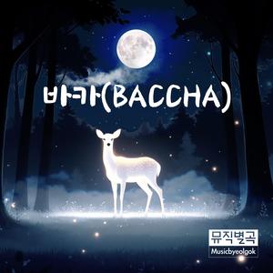 바카(BACCHA)