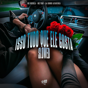 Isso Tudo Que Ele Gosta (Slowed)