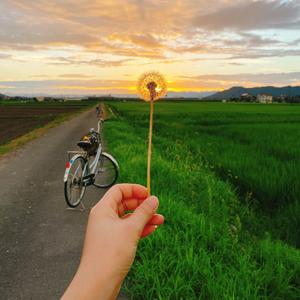 Yêu em từ hiện tại..