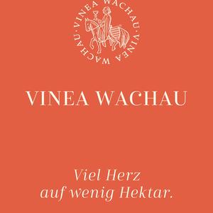 Vinea Wachau