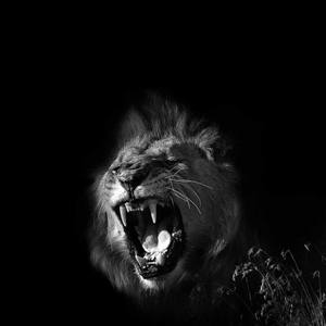 嘶恐（Cover 小旭乐团）