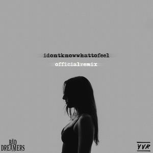 I Don't Know What to Feel (The Bad Dreamers Remix)