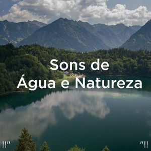 수면을위한 바다의 소리