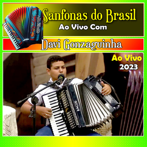 Pau De Arara - Ao Vivo