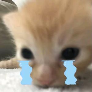 我的老婆就是最棒的(翻唱)