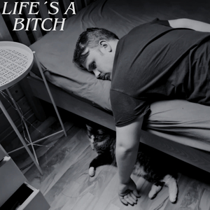 Life´s A Bitch