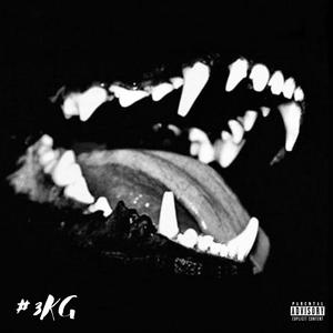 #3KG