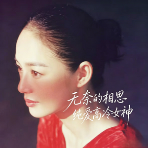 无奈的相思(慢摇版)