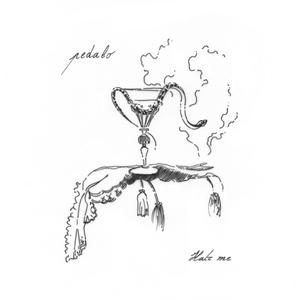 Picture It Backwards