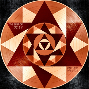 What You Do (Stelmarya Remix)