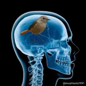 Andele (feat. Wake Up)