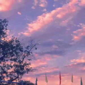 Viraha（orange-p / Volta remix）