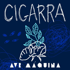 Cigarra (Quarentena Session) [Ao Vivo]