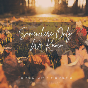 Somewhere Only We Know (sped up + reverb) (Remix)